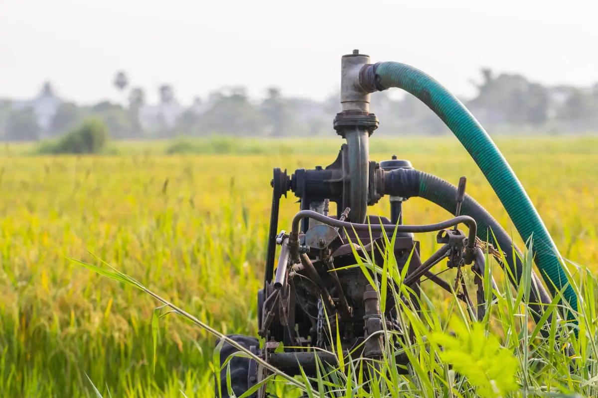 Water pump in a green paddy field in India