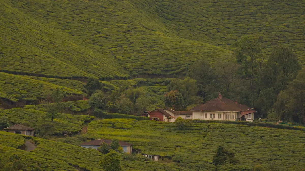 House in green hills, typical of Wayanad